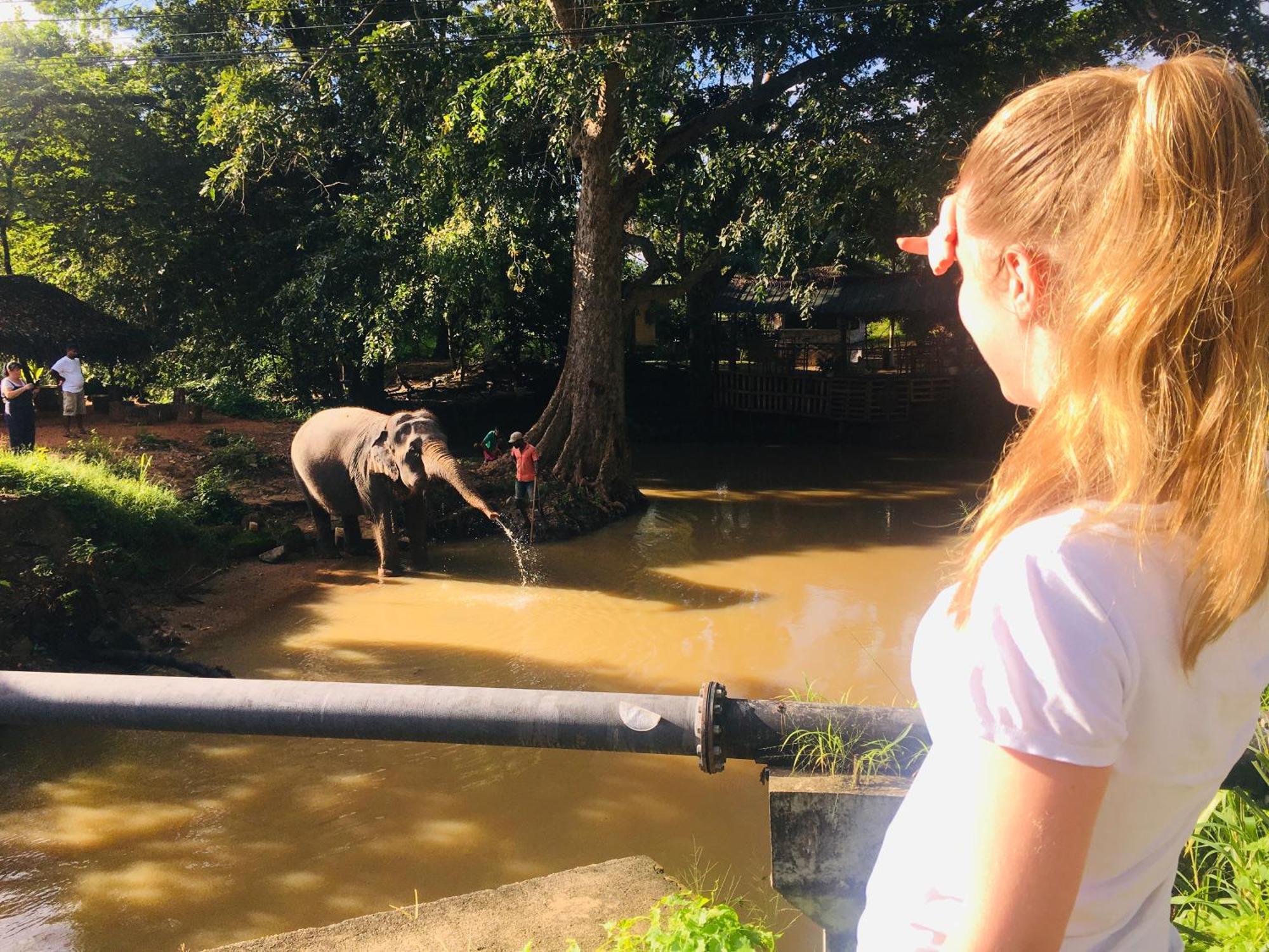 Hotel Sigiriya Kele Εξωτερικό φωτογραφία
